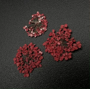 1680 Сухоцветы "Любимые цветочки"