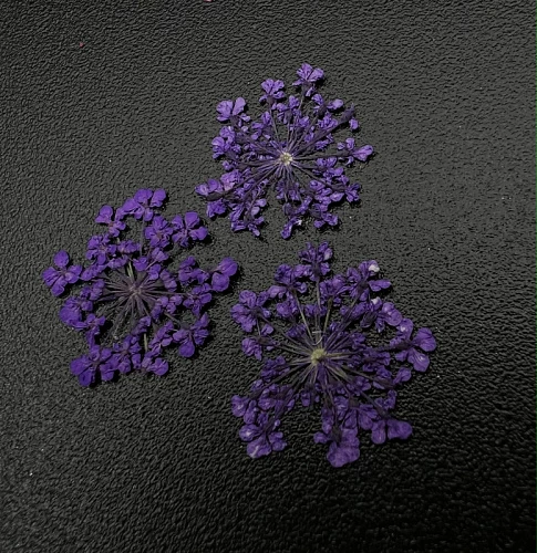 1683 Сухоцветы &quot;Любимые цветочки&quot;