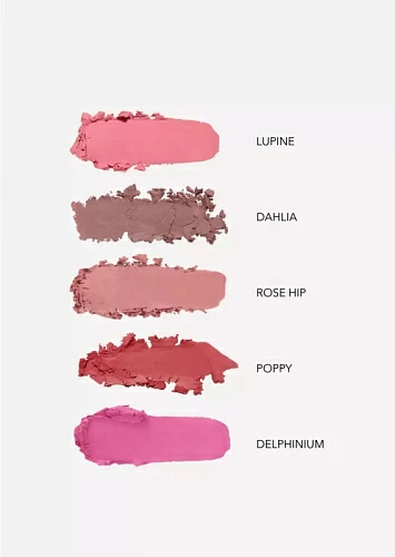 SHIK Румяна-суфле Dahlia, 5 г