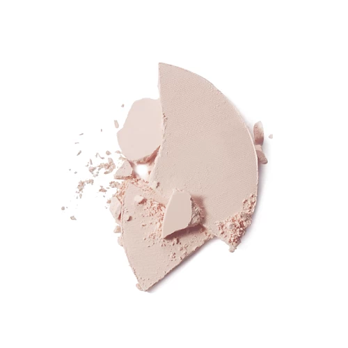 PRO Пудра компактная матирующая Matte Finish в пенале, 7 г.