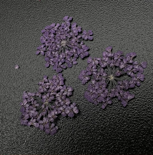 1684 Сухоцветы &quot;Любимые цветочки&quot;