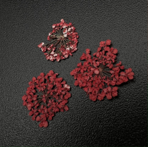 1680 Сухоцветы "Любимые цветочки"