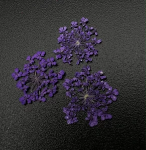 1683 Сухоцветы "Любимые цветочки"