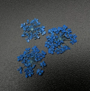 1679 Сухоцветы "Любимые цветочки"