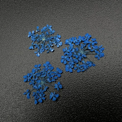 1679 Сухоцветы "Любимые цветочки"