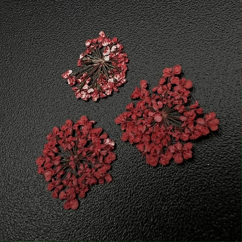 1680 Сухоцветы "Любимые цветочки"